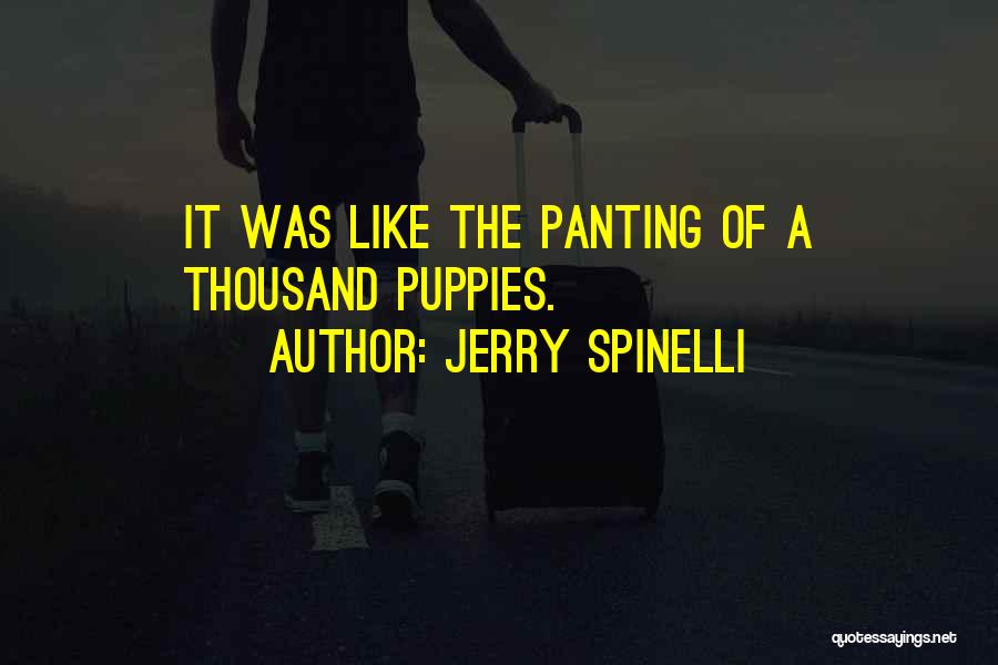 Metaphor Quotes By Jerry Spinelli