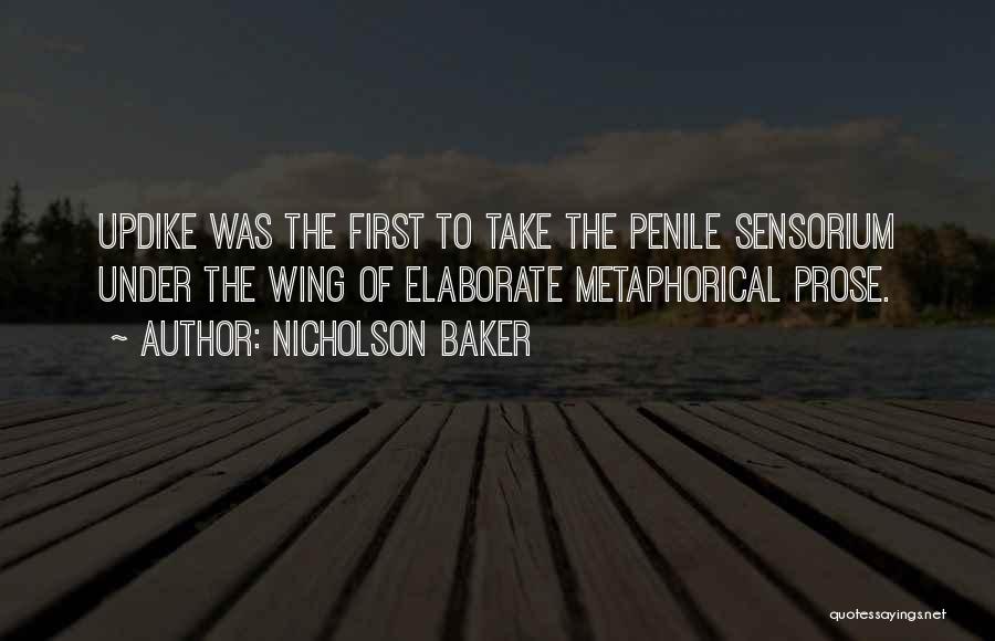 Metaphorical Quotes By Nicholson Baker