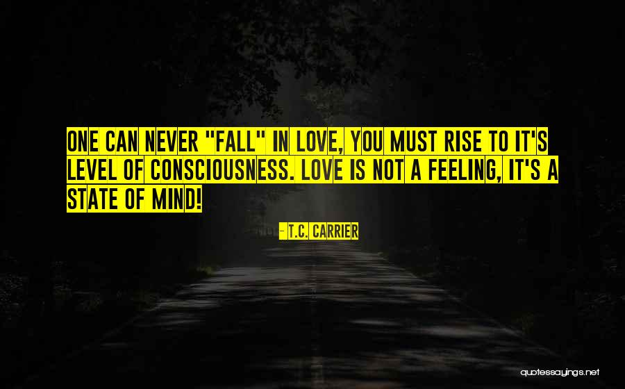 Metaphysics Consciousness Quotes By T.C. Carrier Metaphysics Consciousness Quotes By T.C. Carrier