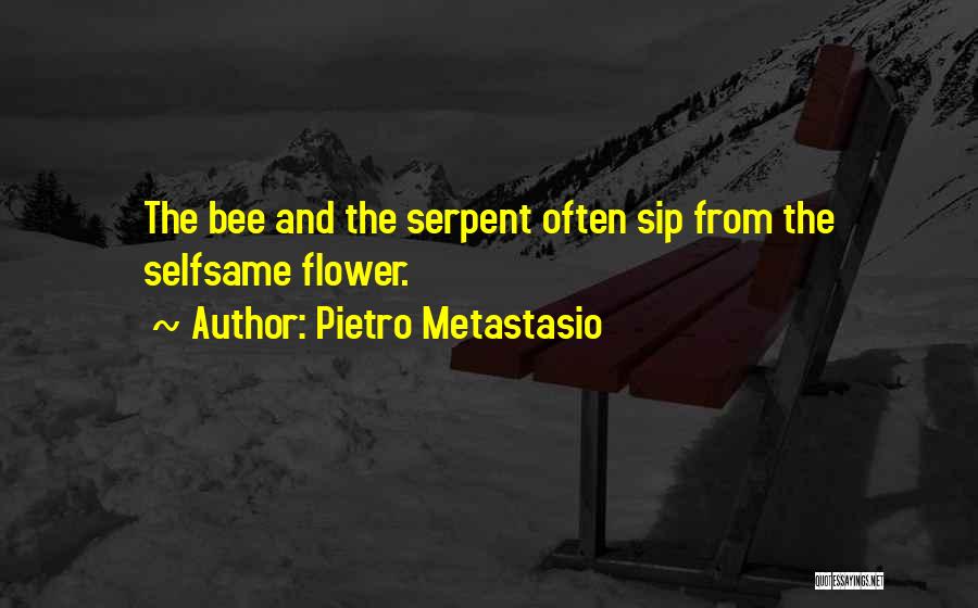 Metastasio Quotes By Pietro Metastasio
