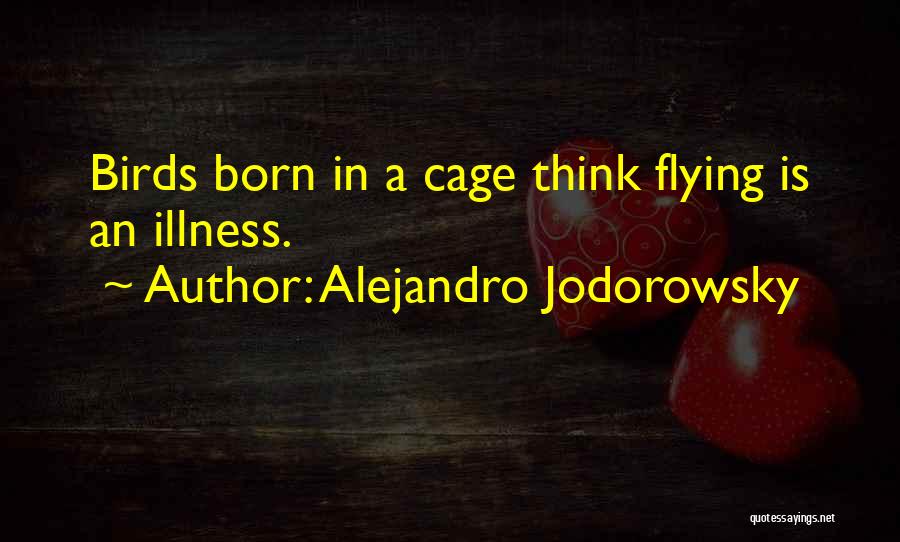 Metayer System Quotes By Alejandro Jodorowsky