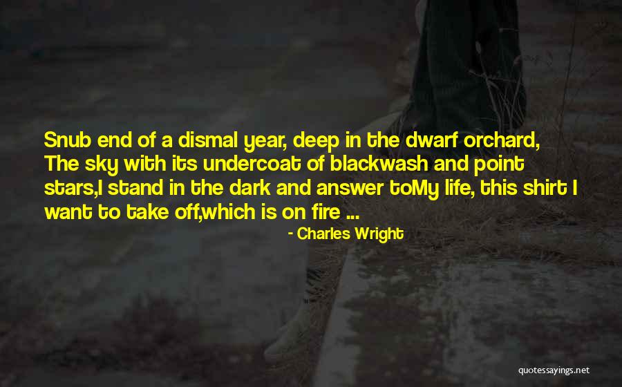 Metehan Intro Quotes By Charles Wright Metehan Intro Quotes By Charles Wright
