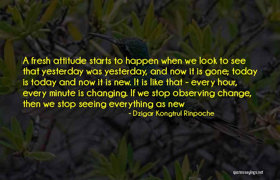 Metehan Intro Quotes By Dzigar Kongtrul Rinpoche Metehan Intro Quotes By Dzigar Kongtrul Rinpoche