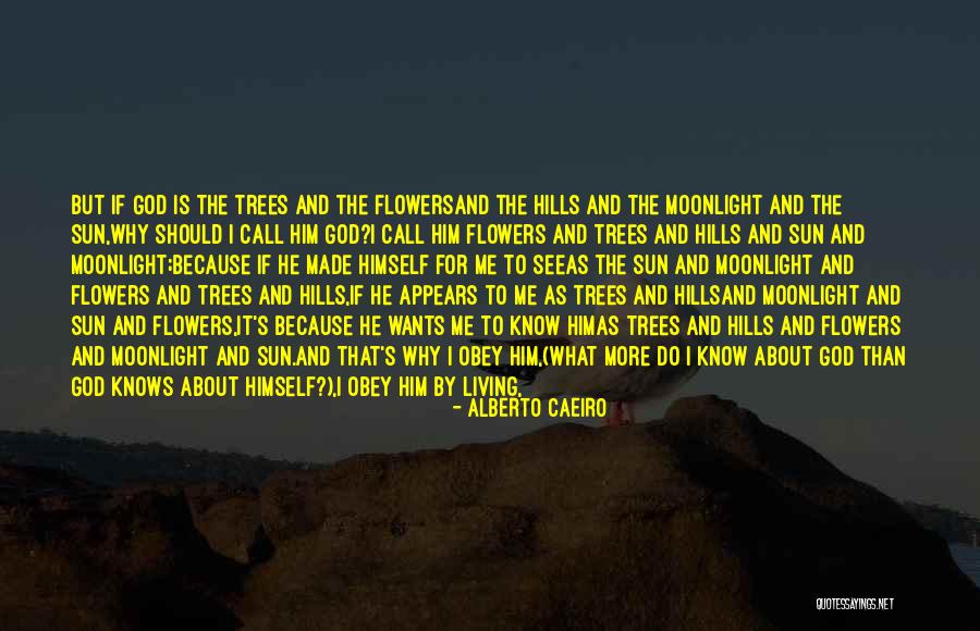 Metelmann Trading Quotes By Alberto Caeiro Metelmann Trading Quotes By Alberto Caeiro