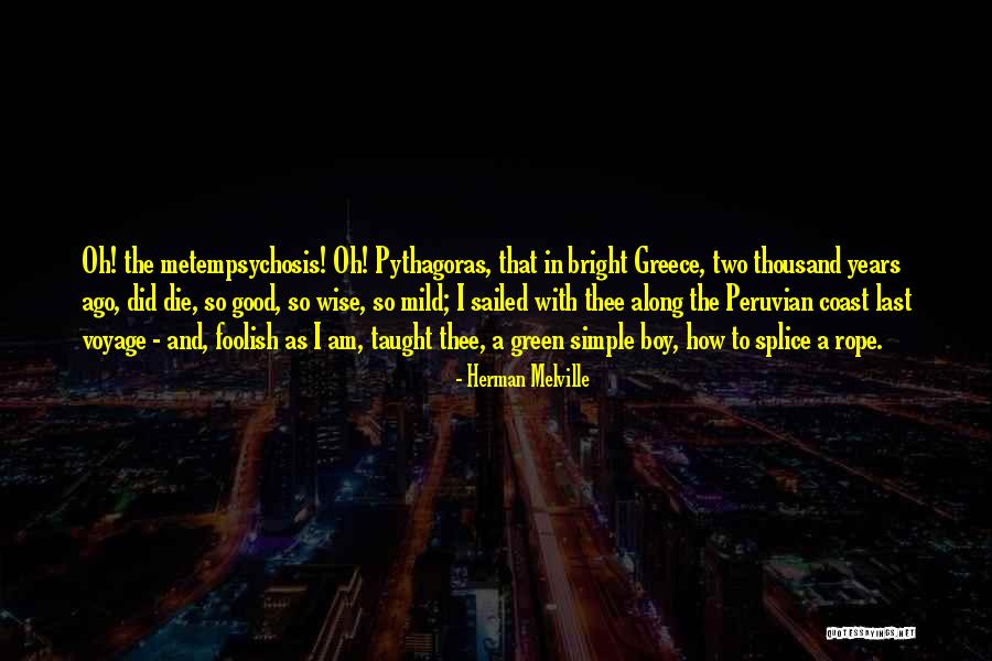 Metempsychosis Quotes By Herman Melville Metempsychosis Quotes By Herman Melville