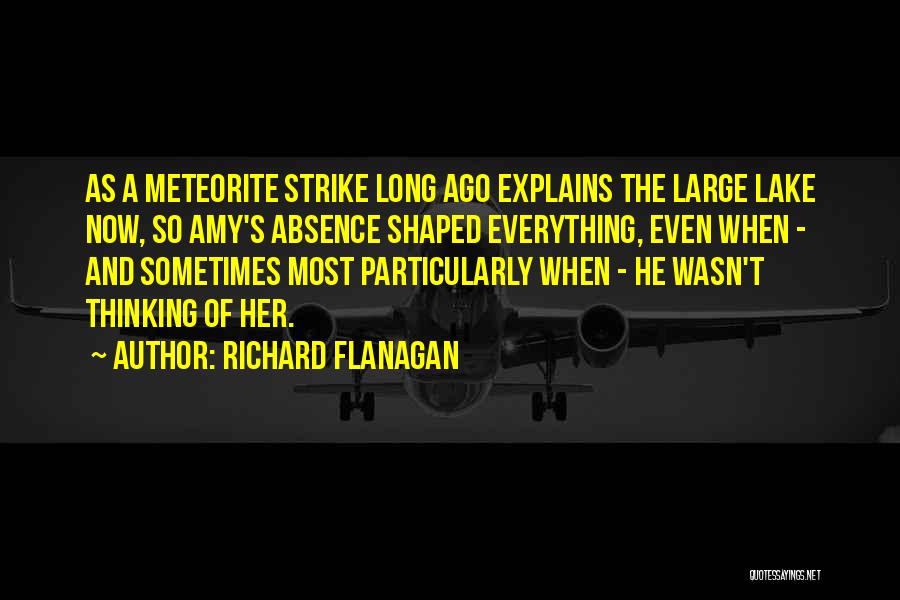 Meteorite Quotes By Richard Flanagan
