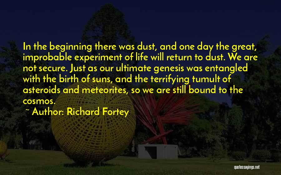 Meteorites Quotes By Richard Fortey