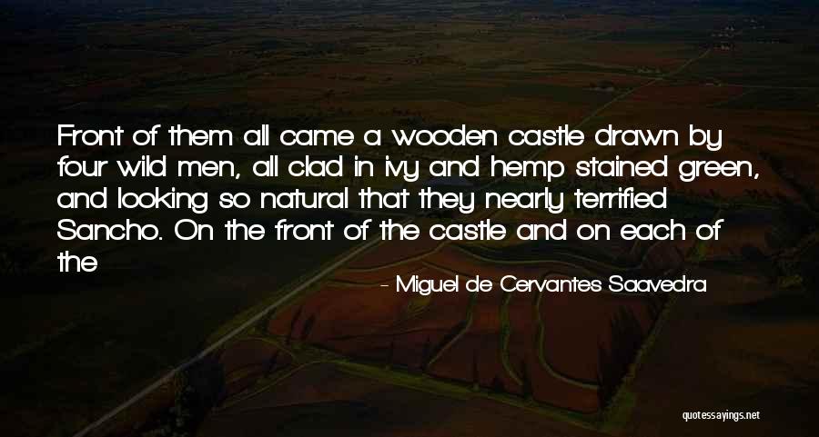 Meteoros Filmek Quotes By Miguel De Cervantes Saavedra Meteoros Filmek Quotes By Miguel De Cervantes Saavedra