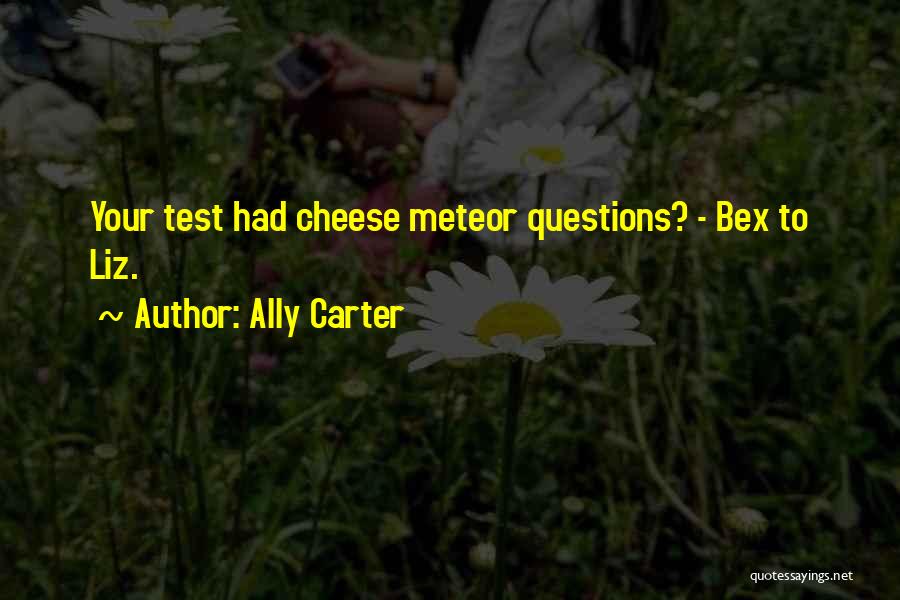 Meteors Quotes By Ally Carter