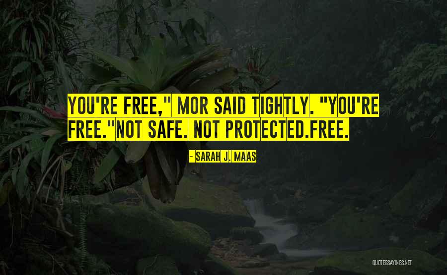 Meterse Animales Quotes By Sarah J. Maas Meterse Animales Quotes By Sarah J. Maas