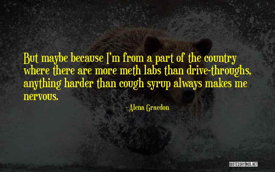 Meth Country Quotes By Alena Graedon Meth Country Quotes By Alena Graedon