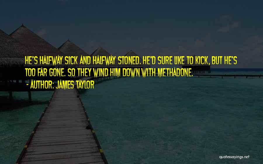 Methadone Quotes By James Taylor