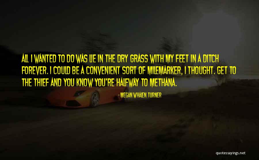 Methana Quotes By Megan Whalen Turner Methana Quotes By Megan Whalen Turner
