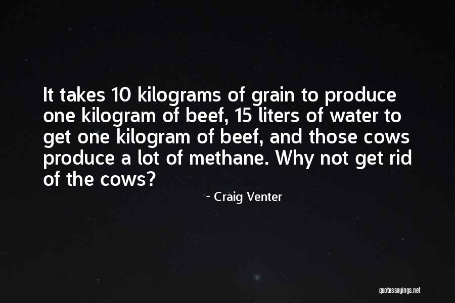 Methane Quotes By Craig Venter