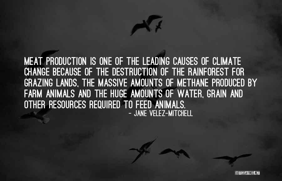 Methane Quotes By Jane Velez-Mitchell