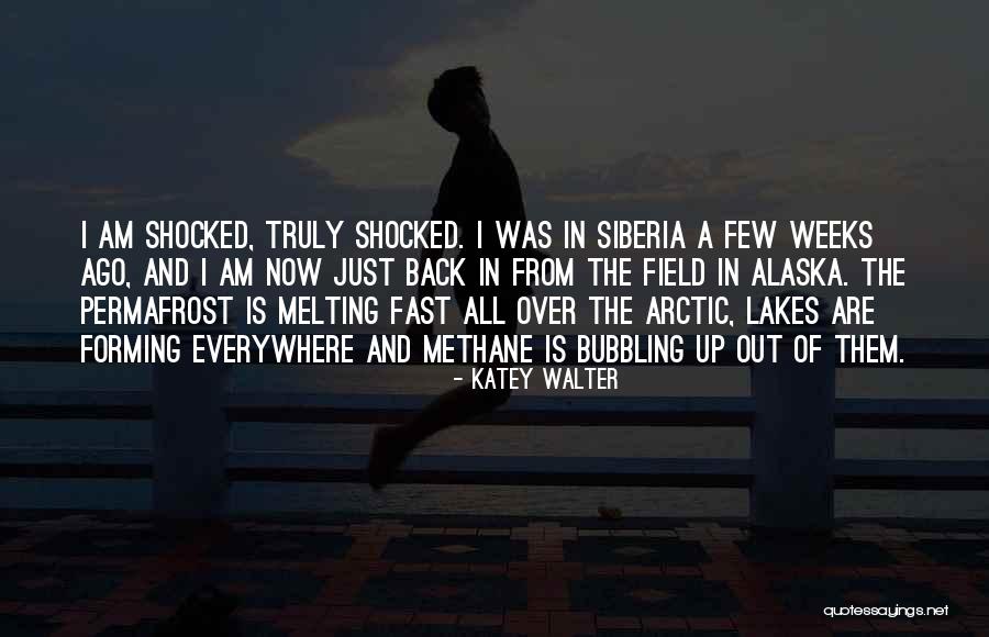 Methane Quotes By Katey Walter