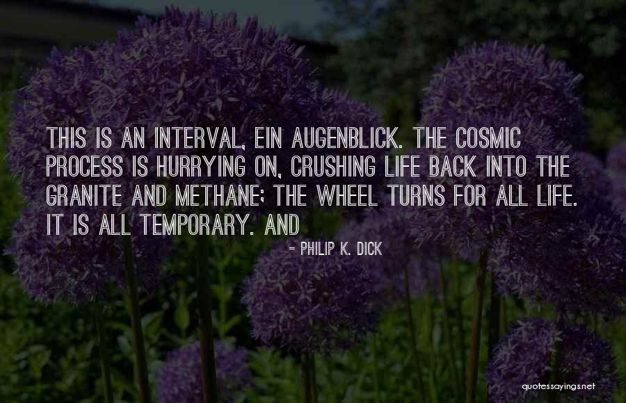 Methane Quotes By Philip K. Dick