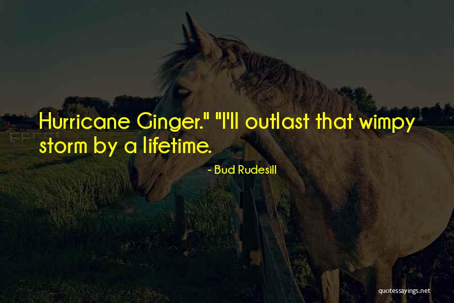 Methed Up Quotes By Bud Rudesill Methed Up Quotes By Bud Rudesill
