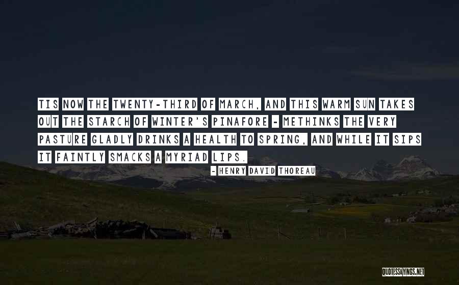 Methinks Quotes By Henry David Thoreau Methinks Quotes By Henry David Thoreau