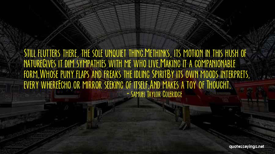 Methinks Quotes By Samuel Taylor Coleridge Methinks Quotes By Samuel Taylor Coleridge
