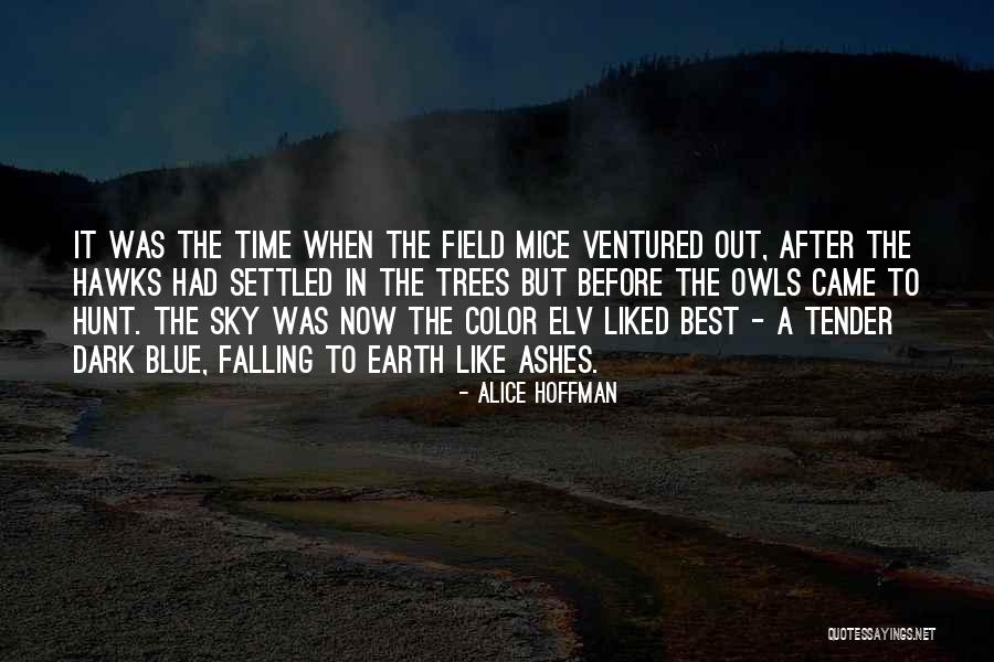 Methylation Supplements Quotes By Alice Hoffman Methylation Supplements Quotes By Alice Hoffman