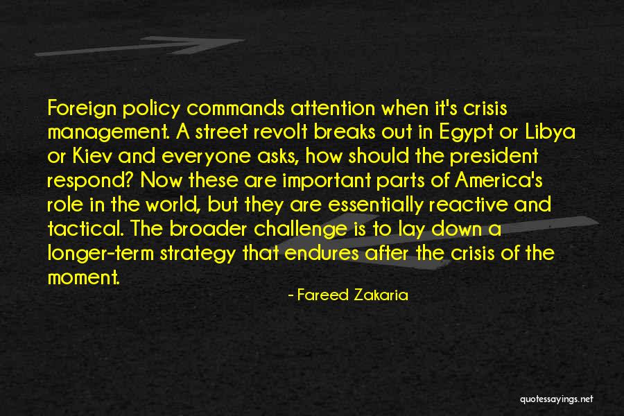 Methylisothiazolinone Quotes By Fareed Zakaria Methylisothiazolinone Quotes By Fareed Zakaria