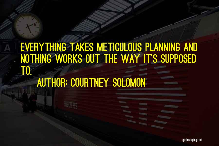 Meticulous Planning Quotes By Courtney Solomon