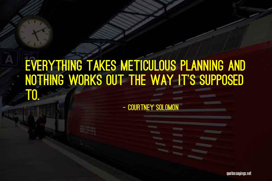 Meticulous Planning Quotes By Courtney Solomon