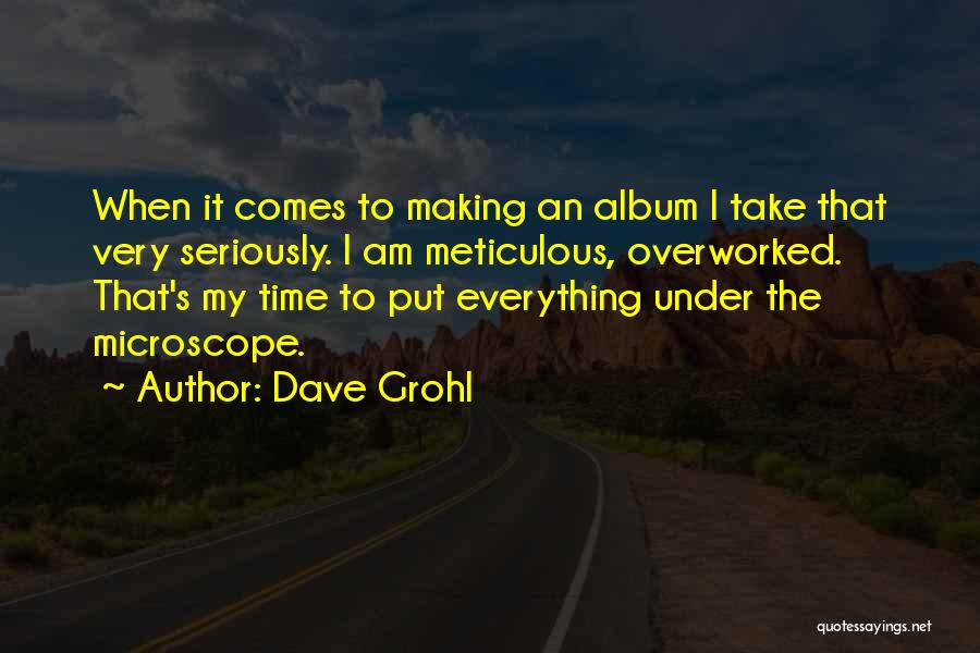 Meticulous Quotes By Dave Grohl