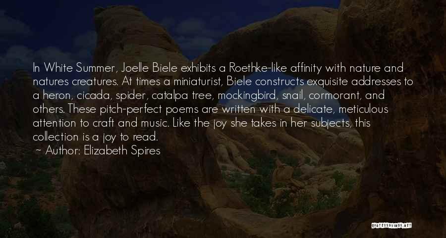 Meticulous Quotes By Elizabeth Spires