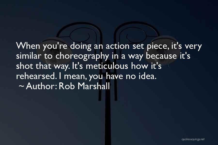 Meticulous Quotes By Rob Marshall
