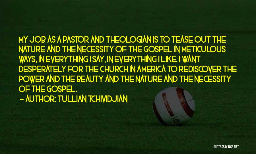 Meticulous Quotes By Tullian Tchividjian