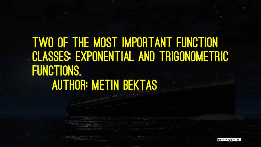 Metin Bektas Quotes 1664174