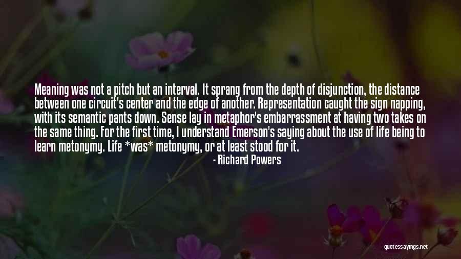 Metonymy Quotes By Richard Powers