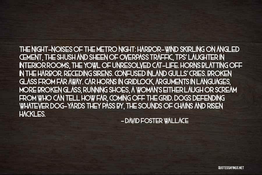 Metro Life Quotes By David Foster Wallace Metro Life Quotes By David Foster Wallace