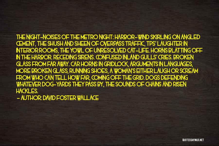 Metro Quotes By David Foster Wallace