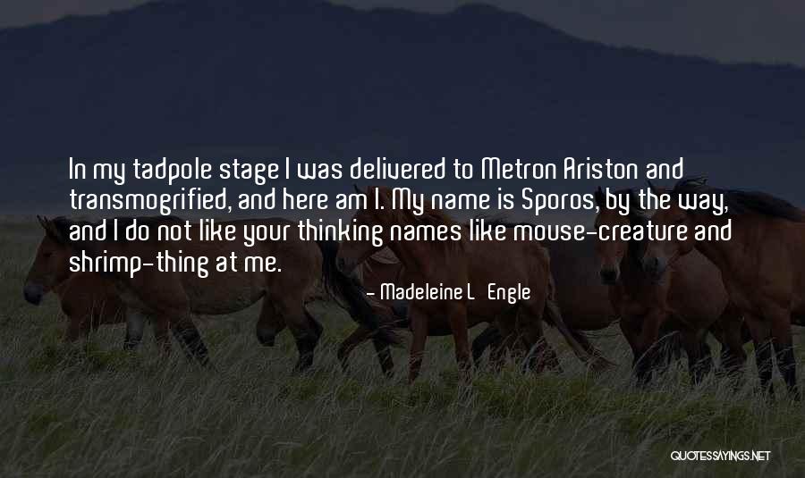 Metron Quotes By Madeleine L'Engle Metron Quotes By Madeleine L'Engle