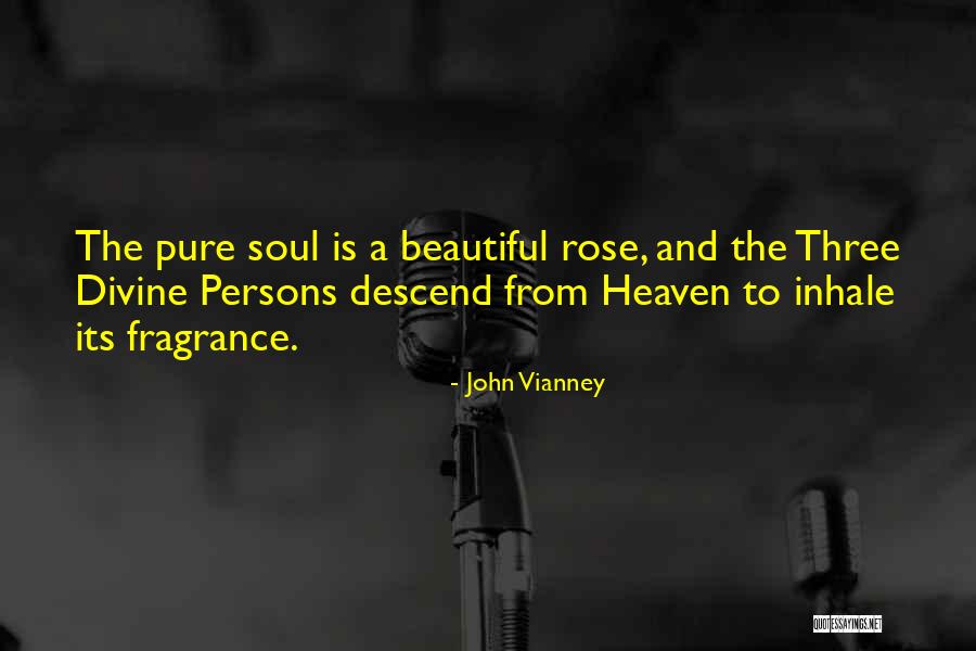 Metrotex Quotes By John Vianney Metrotex Quotes By John Vianney