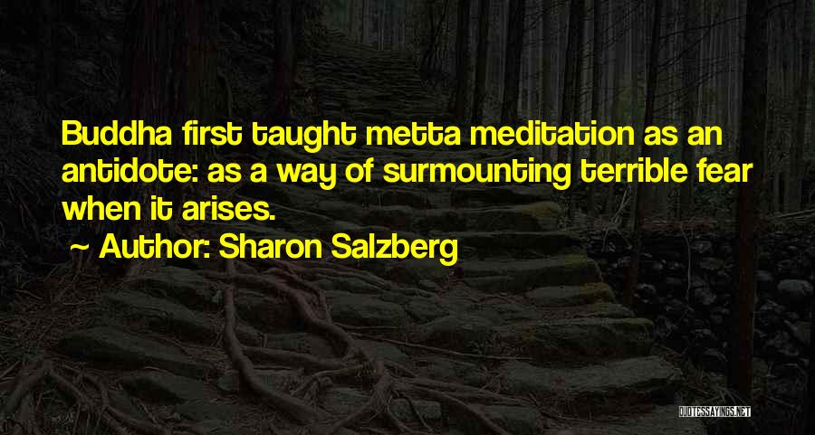 Metta Meditation Quotes By Sharon Salzberg