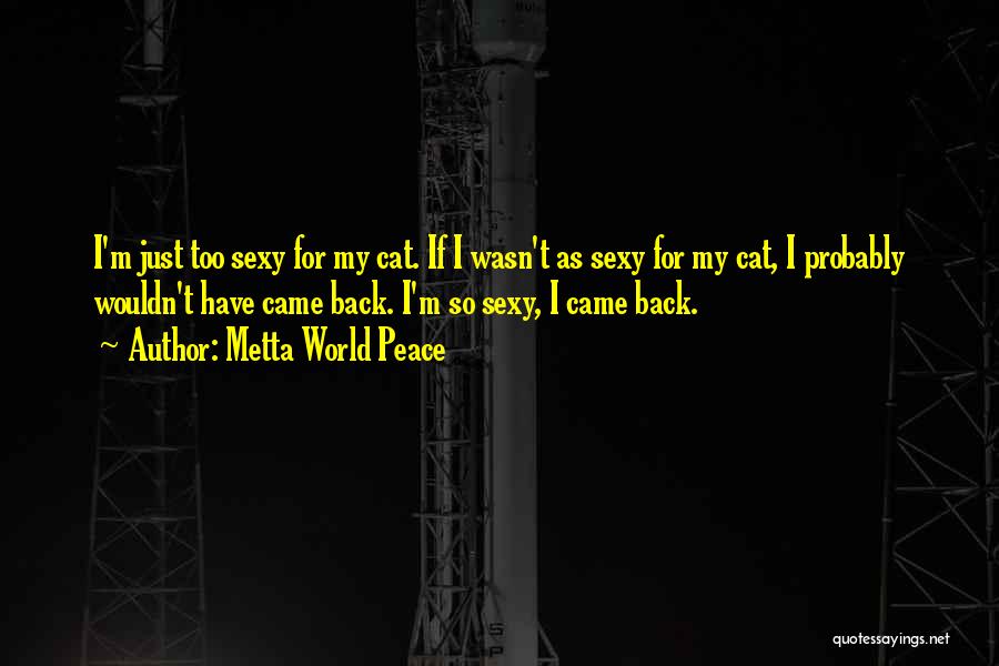 Metta Quotes By Metta World Peace