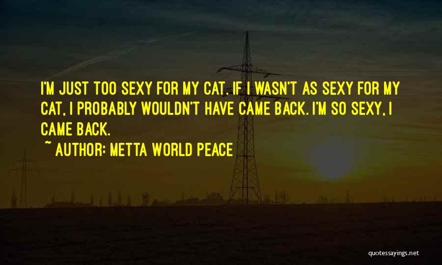 Metta World Peace Quotes 1909353