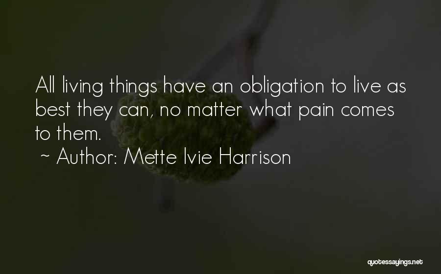 Mette Ivie Harrison Quotes 243458