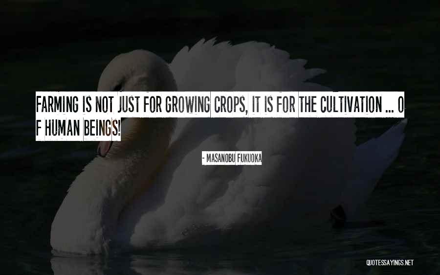 Metteurs Quotes By Masanobu Fukuoka Metteurs Quotes By Masanobu Fukuoka