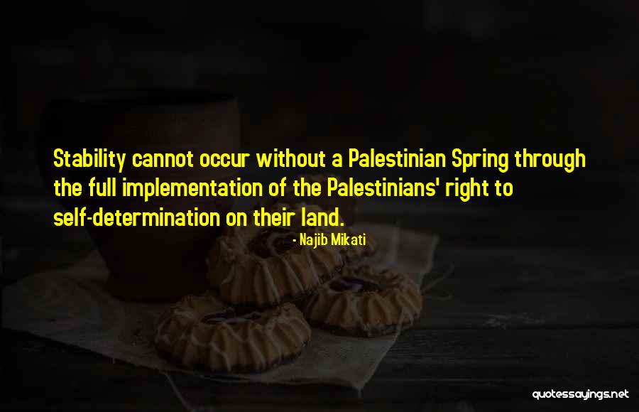 Metumbo Quotes By Najib Mikati Metumbo Quotes By Najib Mikati