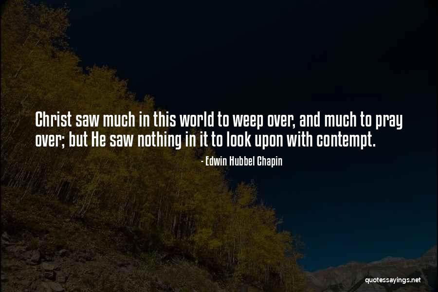 Metzer Ducks Quotes By Edwin Hubbel Chapin Metzer Ducks Quotes By Edwin Hubbel Chapin