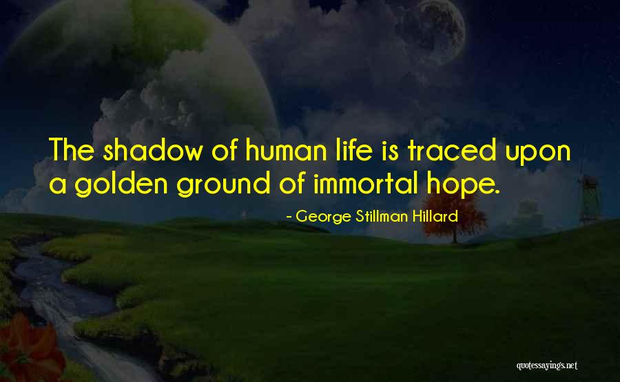 Metzler Quotes By George Stillman Hillard Metzler Quotes By George Stillman Hillard