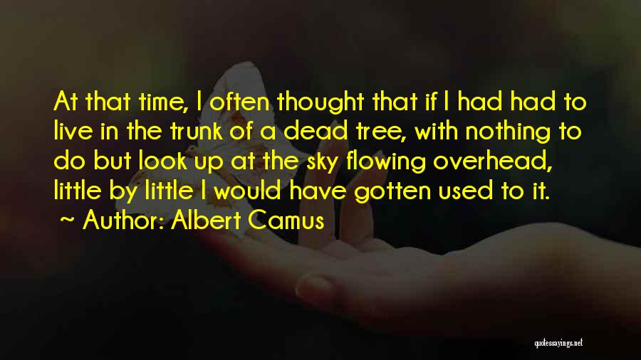 Meursault Quotes By Albert Camus