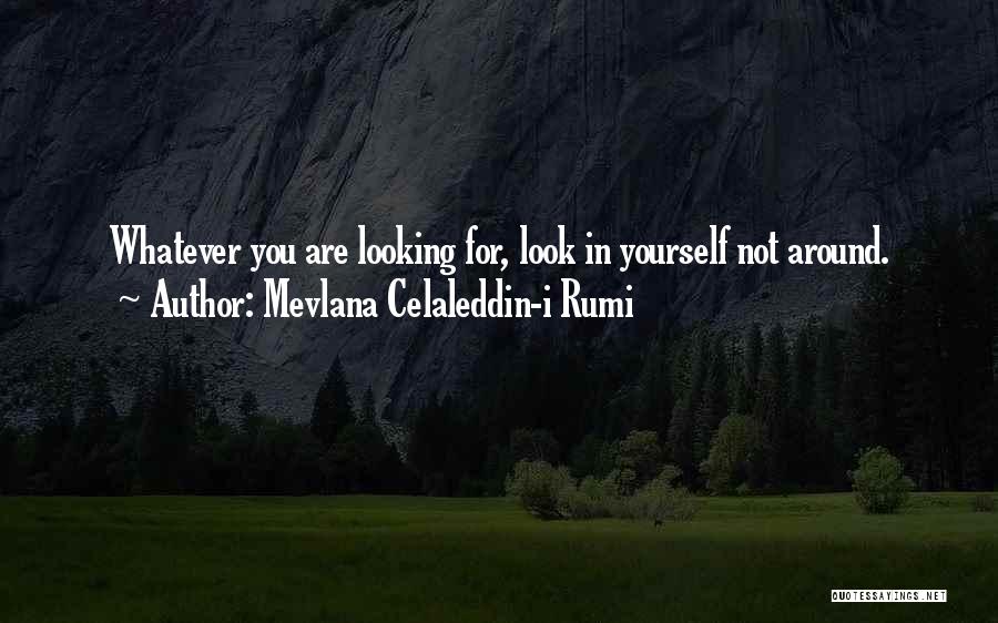 Mevlana Celaleddin-i Rumi Quotes 437264