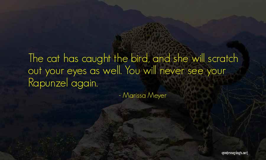 Mevzuat Quotes By Marissa Meyer Mevzuat Quotes By Marissa Meyer