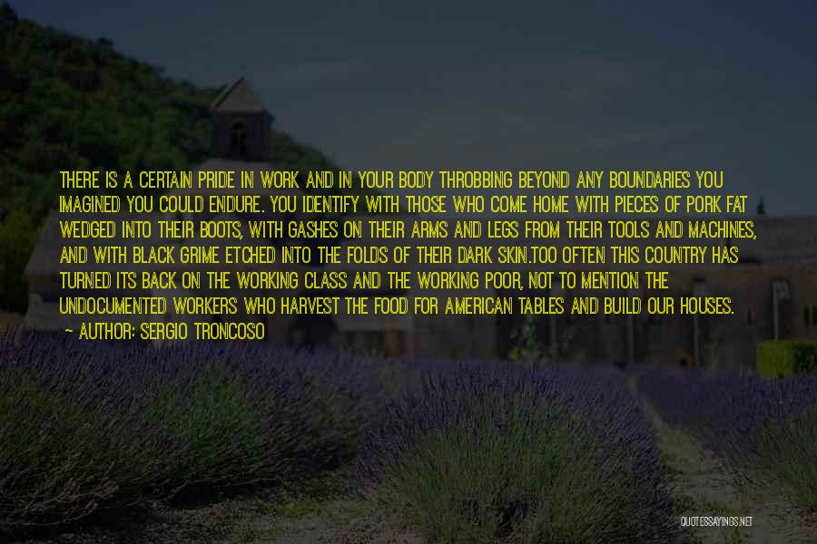 Mexican American Pride Quotes By Sergio Troncoso